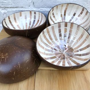 Hand Painted Coconut Shell Bowl, Mother of Pearl Lines