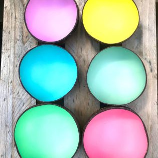 Coconut Shell Bowls with Colourful Pastel Centres