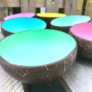 Coconut Shell Bowls with Colourful Pastel Centres