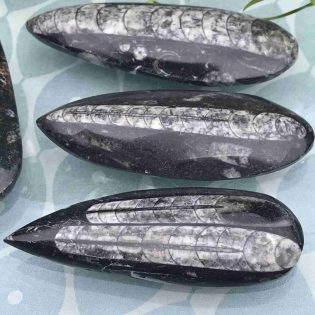 Long Polished Orthoceras Fossil - Meditation Healing Tool - Weight