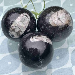 Polished Orthoceras Fossil Sphere