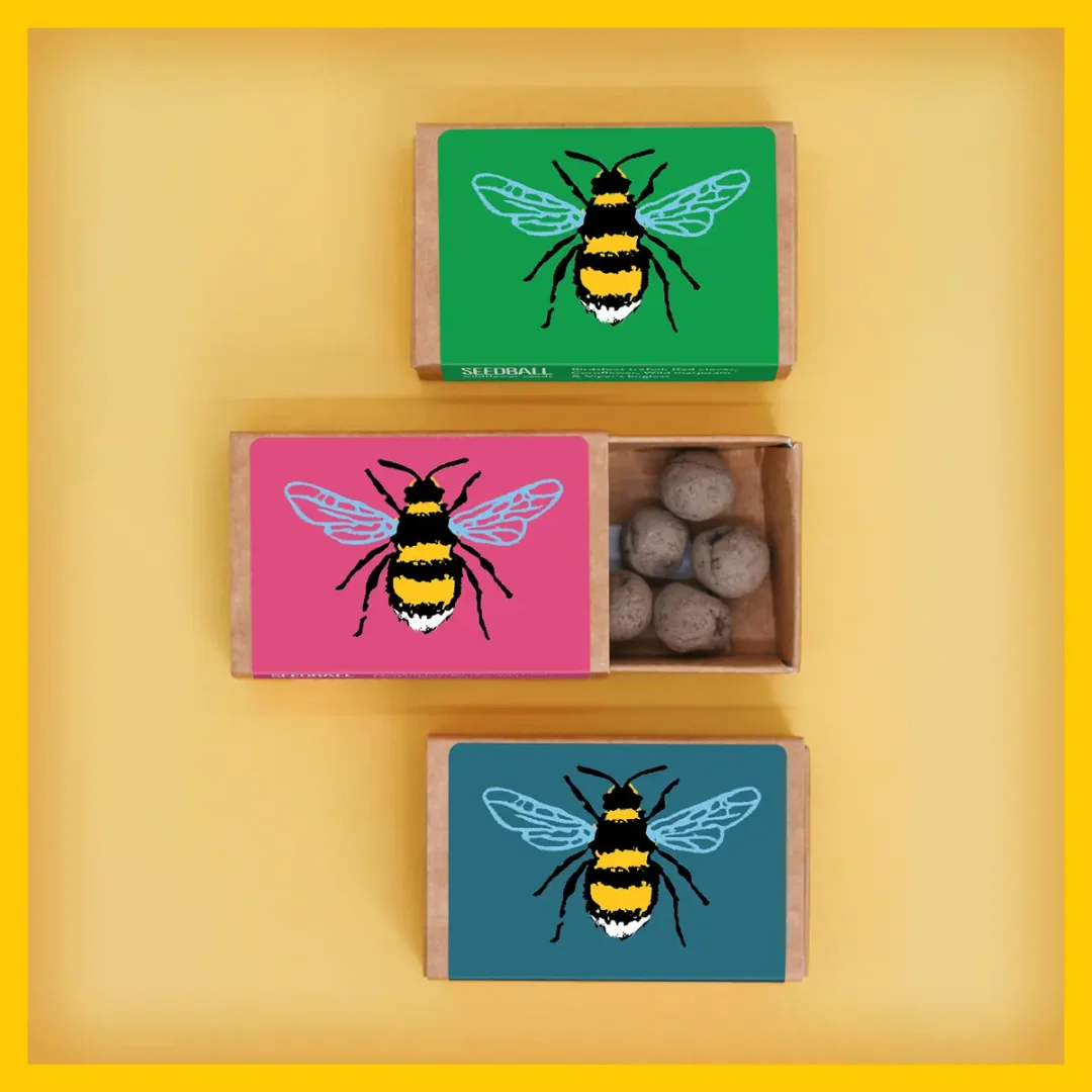 Bee Pocket Boxes by Seedball Mixes Available at Tiezori 3 types to choose