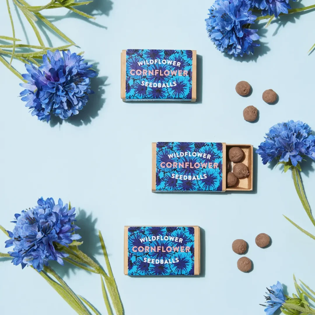 Cornflower Wildflower Pocket Boxes by Seedball available at Tiezori 3