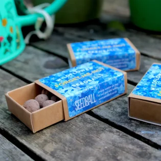 Cornflower Wildflower Pocket Boxes by Seedball available at Tiezori 1