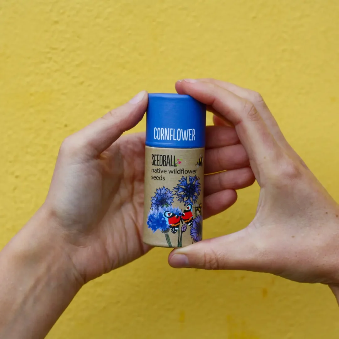 Cornflower Wildflower Tubes by Seedball