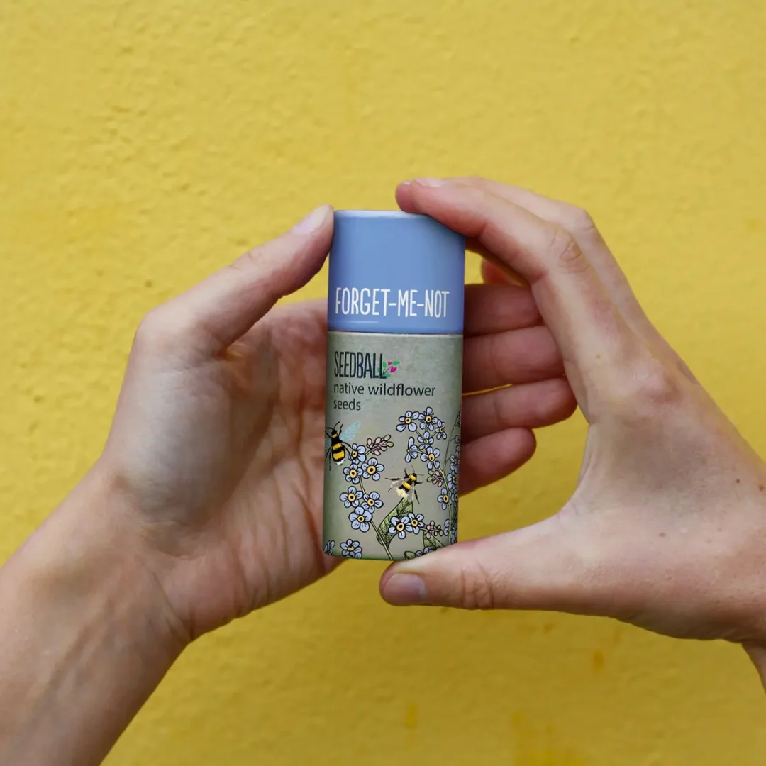 Forget-Me-Not Wildflower Tubes by Seedball