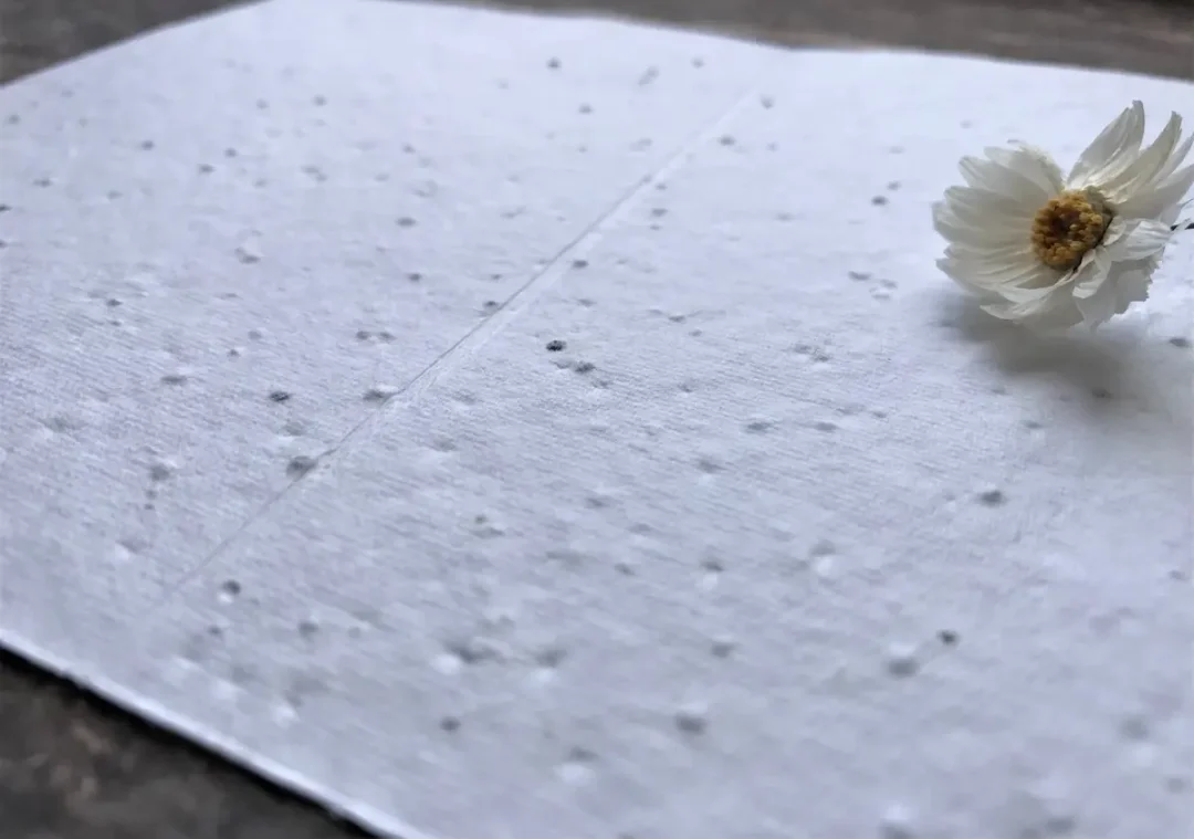 Plantable Seed Paper Cards by Erika's Whimsical Art 5