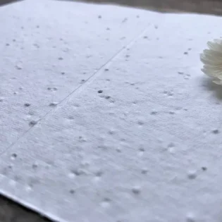 Plantable Seed Paper Cards by Erika's Whimsical Art 5