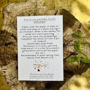 Plantable Seed Paper Cards by Erika's Whimsical Art Instructions