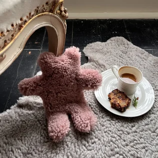 Flat Eric Jr Teddy Bear Hot Water Bottle by Owen Barry Pink Curly