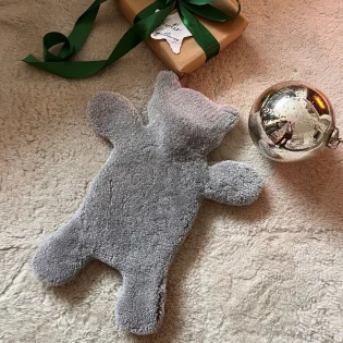 Flat Eric Papa Teddy Bear Hot Water Bottle Cover by Owen Barry