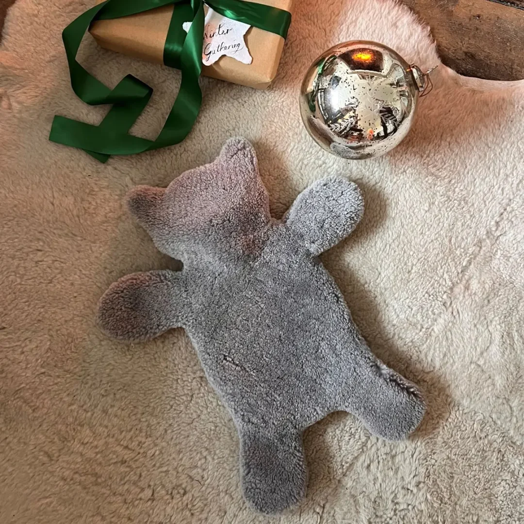 Flat Eric Papa Teddy Bear Hot Water Bottle Cover by Owen Barry
