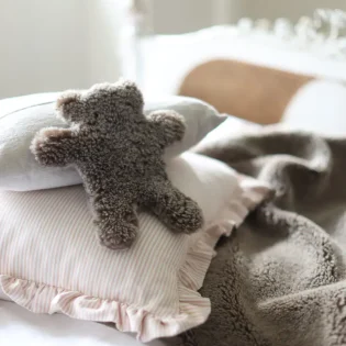 Flat Eric Jr Teddy Bear Hot Water Bottle by Owen Barry Taupe Brown