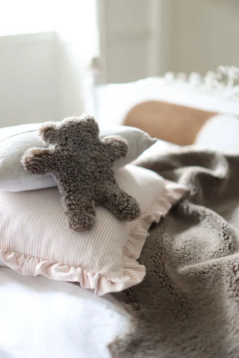 Flat Eric Jr Teddy Bear Hot Water Bottle by Owen Barry Taupe Brown