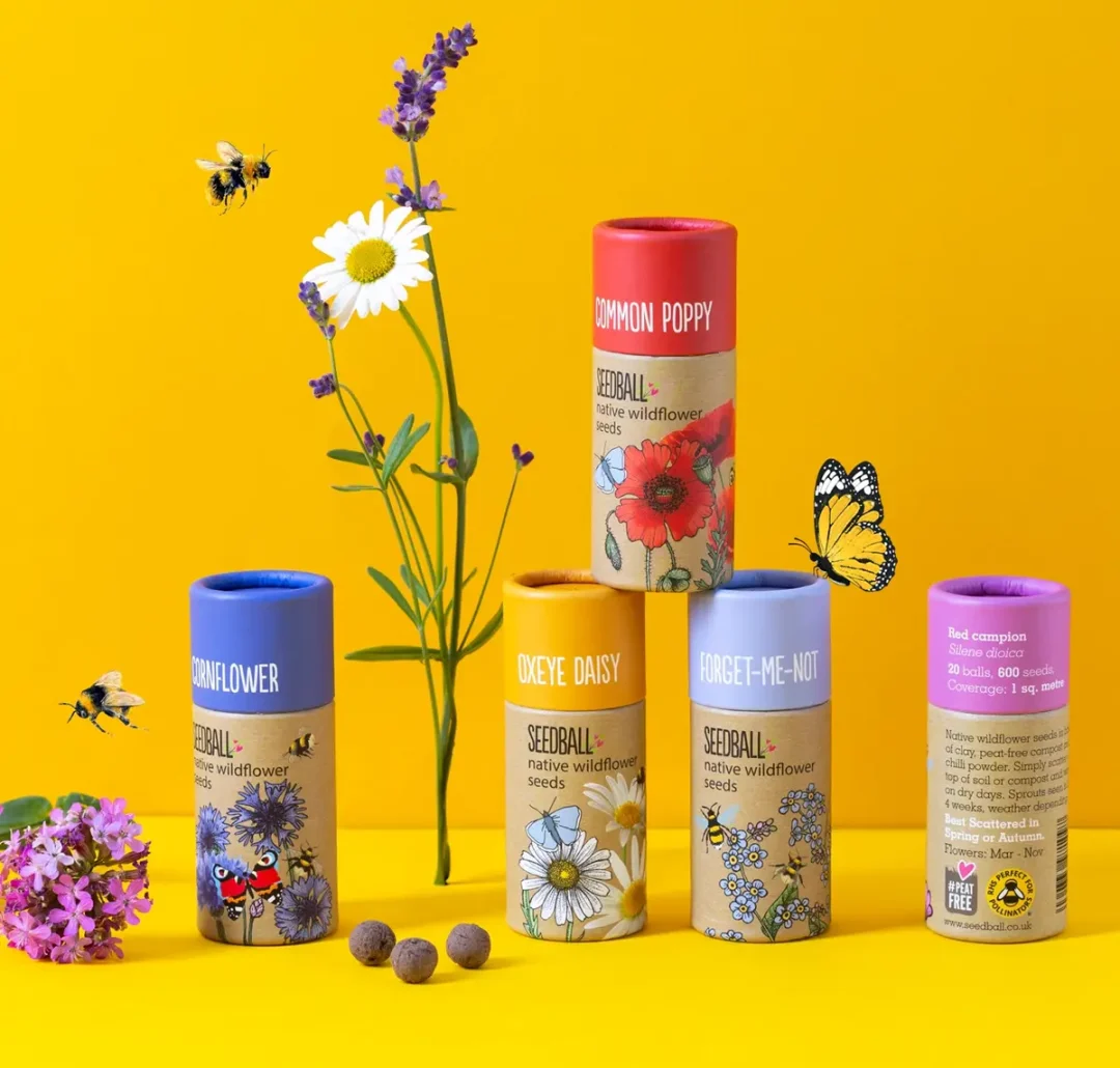 Wildflower Collection by Seedball
