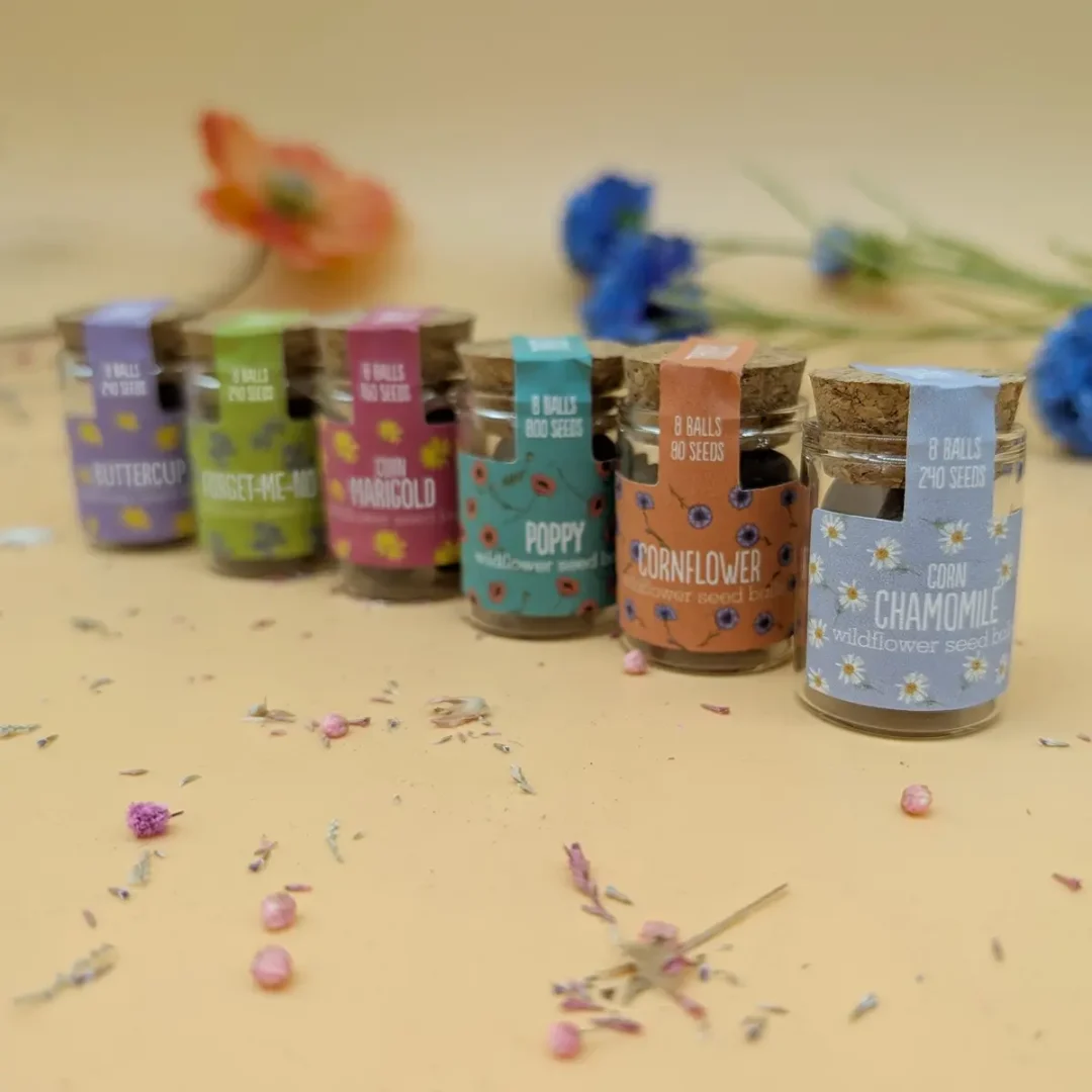 Wildflower Jars Collection by Seedball