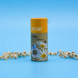 Seedball Wildflower Tubes Oxeye Daisy