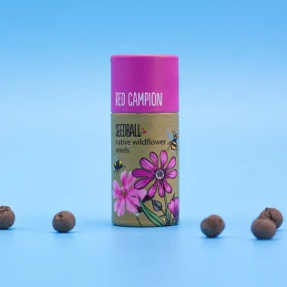 Seedball Wildflower Tubes Red Campion