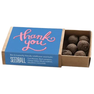 Blue Thank You Pocket Boxes by Seedball