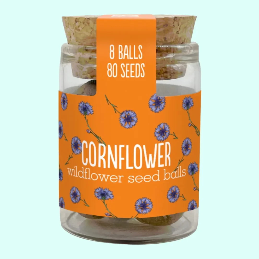 Cornflower Jar by Seedball available at Tiezori