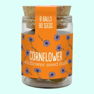 Cornflower Jar by Seedball available at Tiezori