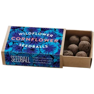 Cornflower Wildflower Pocket Boxes by Seedball