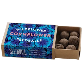 Cornflower Wildflower Pocket Boxes by Seedball