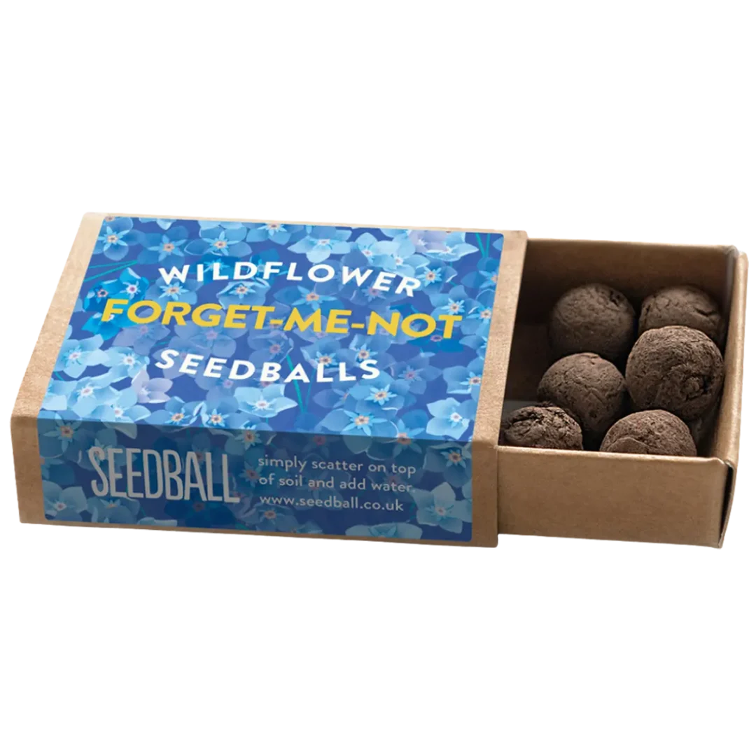 Forget-Me-Not Wildflower Pocket Boxes by Seedball