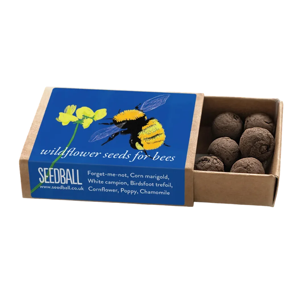 Bumblebee Pocket Boxes by Seedball Great Yellow Bumblebee Mix Available at Tiezori