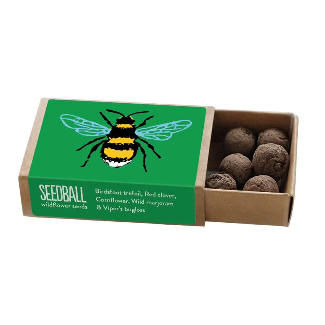 Green Bee Pocket Boxes Mix by Seedball available at Tiezori