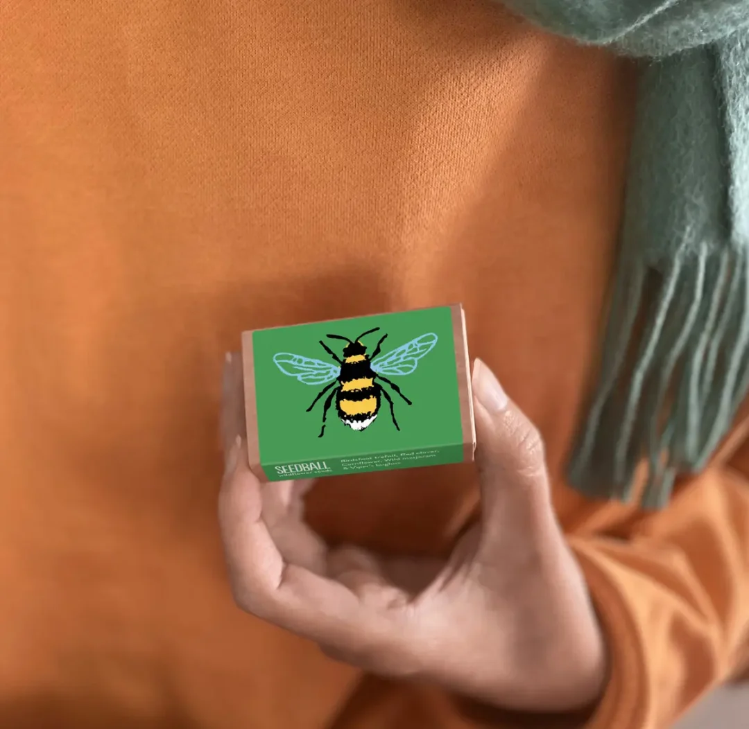 Green Bee Pocket Boxes Mix by Seedball available at Tiezori 1