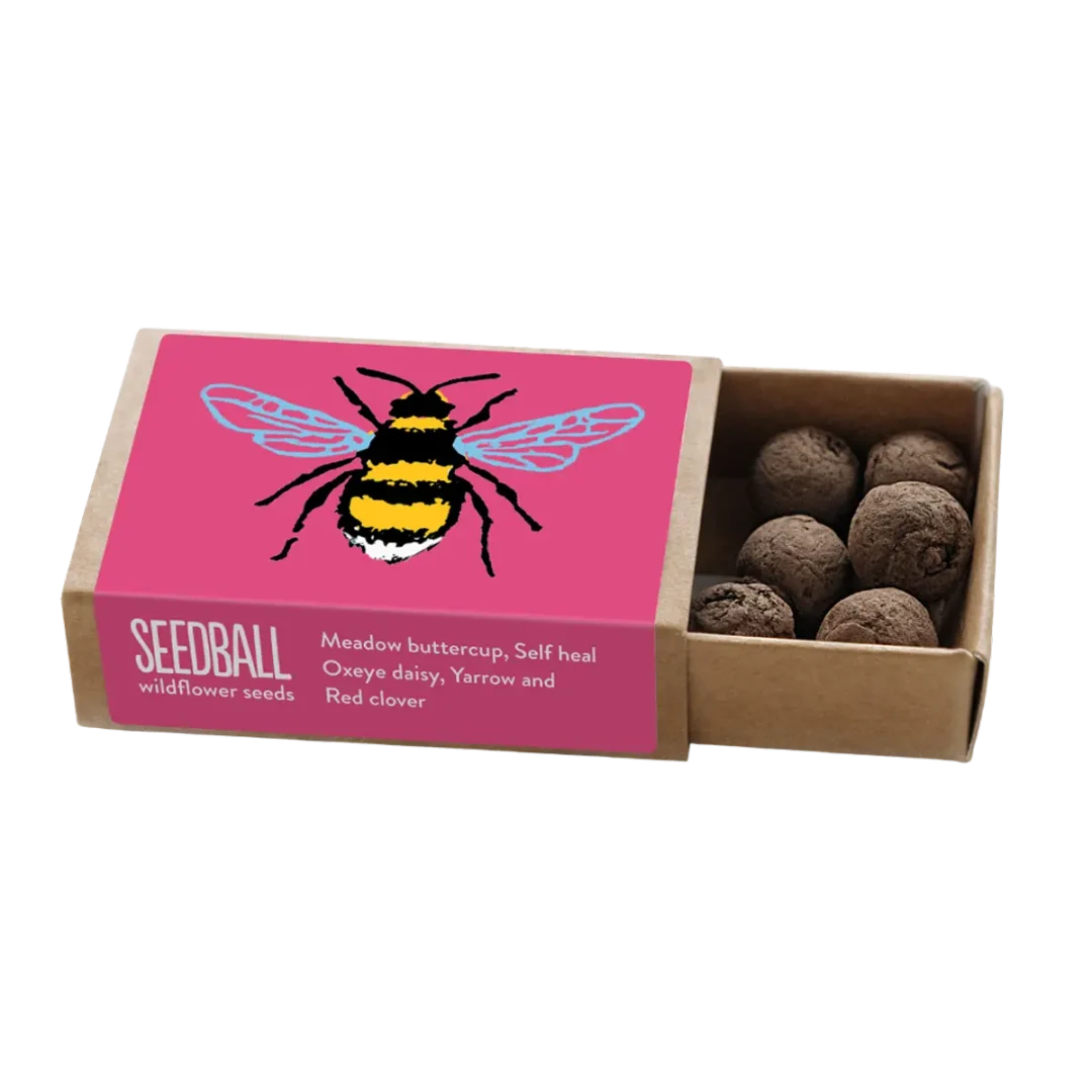 Pink Bee Pocket Boxes Mix by Seedball available at Tiezori