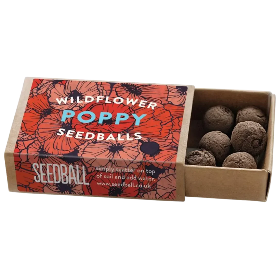 Poppy Wildflower Pocket Boxes by Seedball