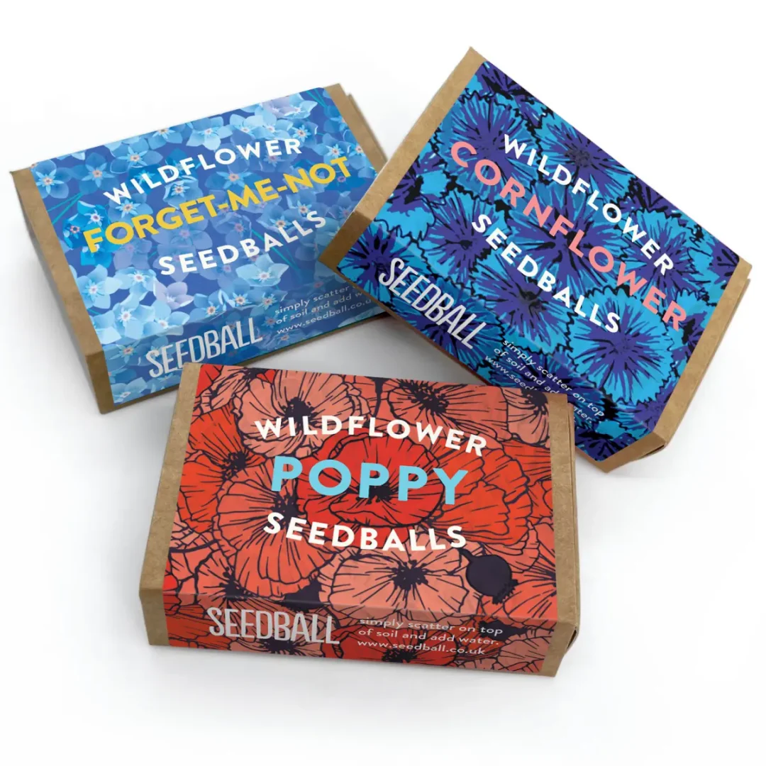 Wildflower Pocket Boxes by Seedball