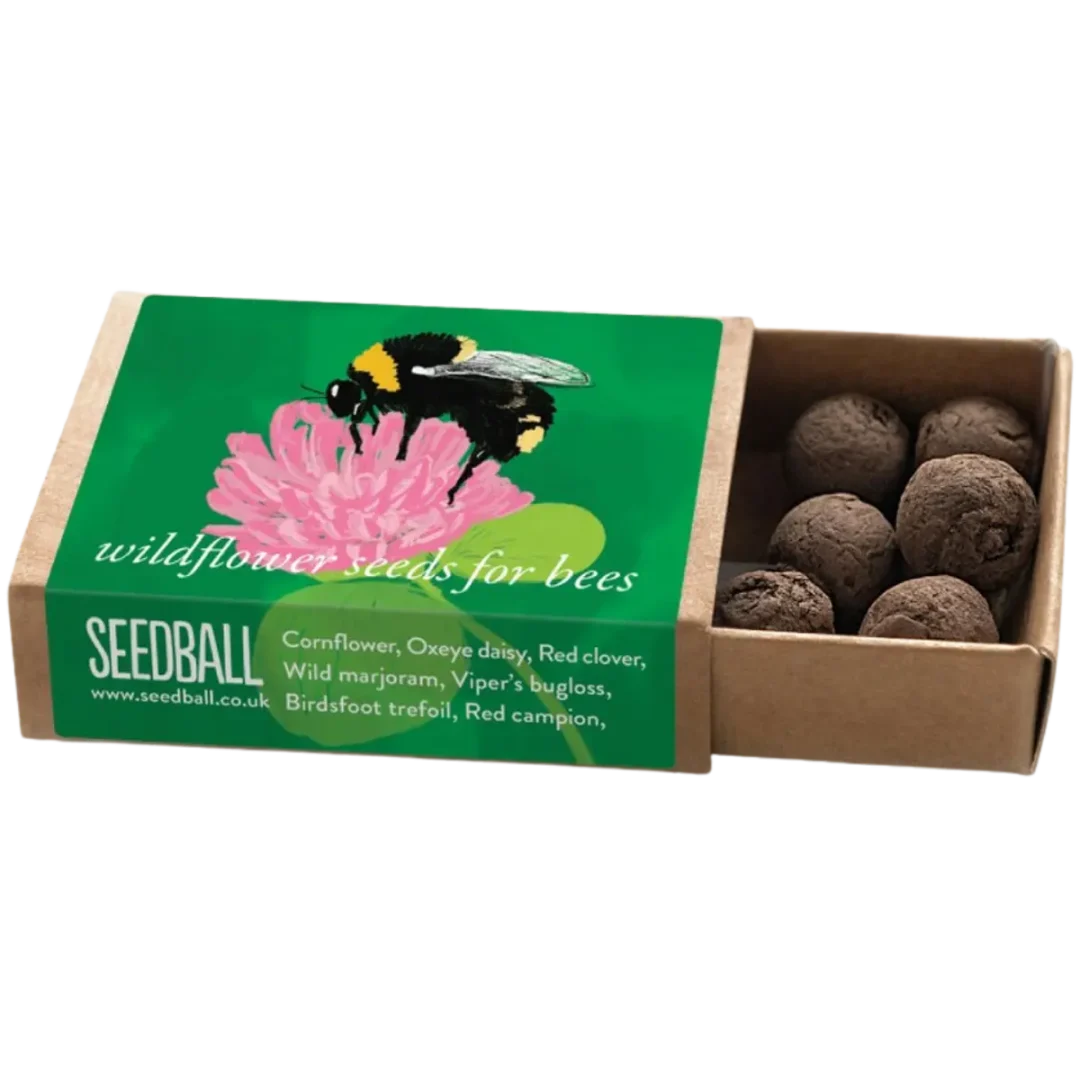 Bumblebee Pocket Boxes by Seedball Short Haired Bumblebee Mix Available at Tiezori