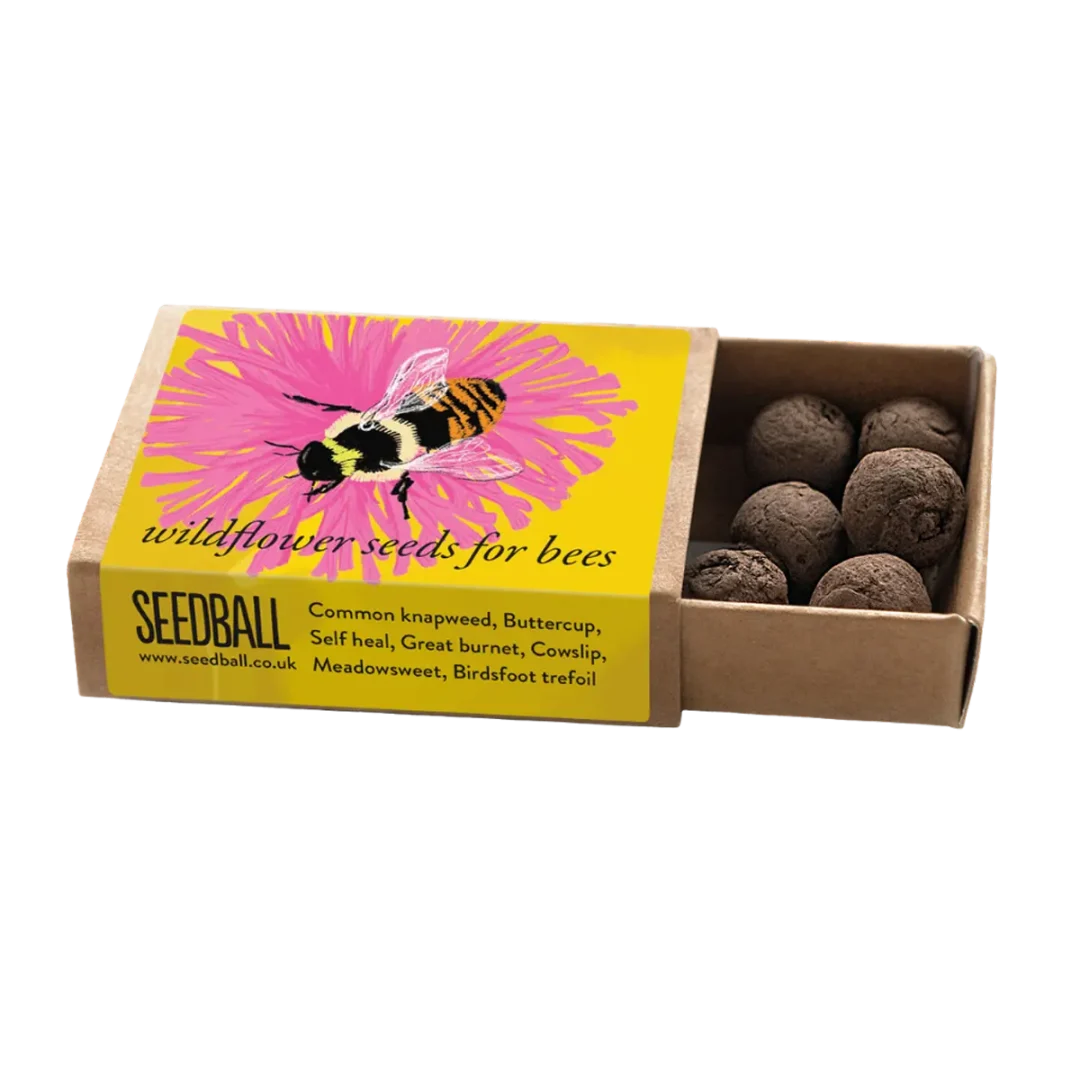 Bumblebee Pocket Boxes by Seedball Shrill Carder Bumblebee Mix Available at Tiezori