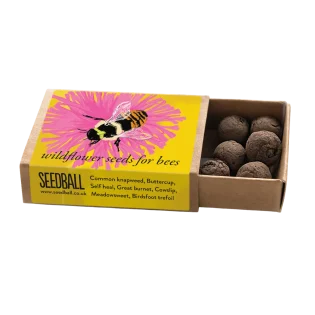 Bumblebee Pocket Boxes by Seedball Shrill Carder Bumblebee Mix Available at Tiezori