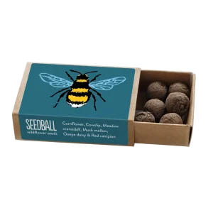 Teal Bee Pocket Boxes Mix by Seedball available at Tiezori