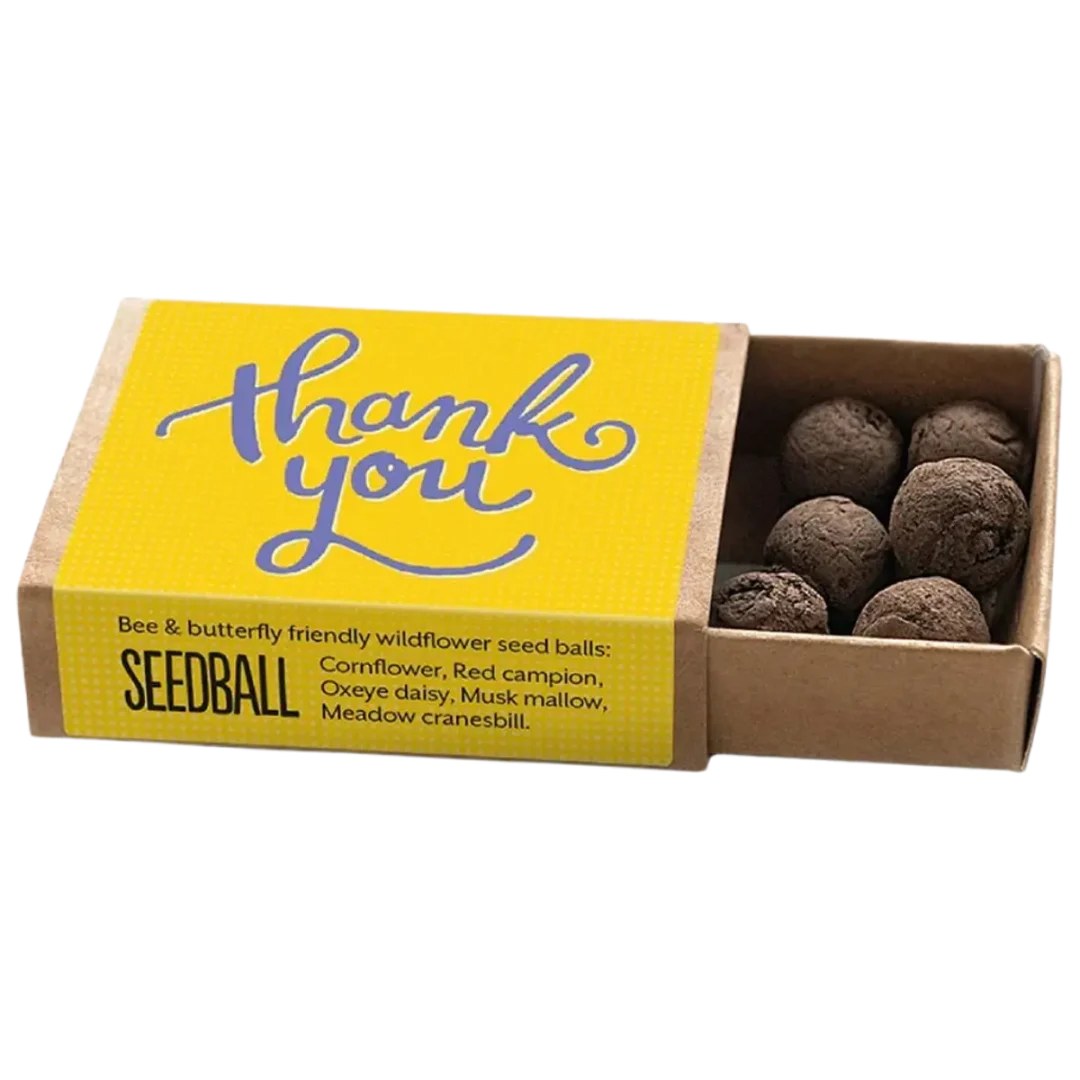 Yellow Thank You Pocket Boxes by Seedball