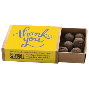 Yellow Thank You Pocket Boxes by Seedball