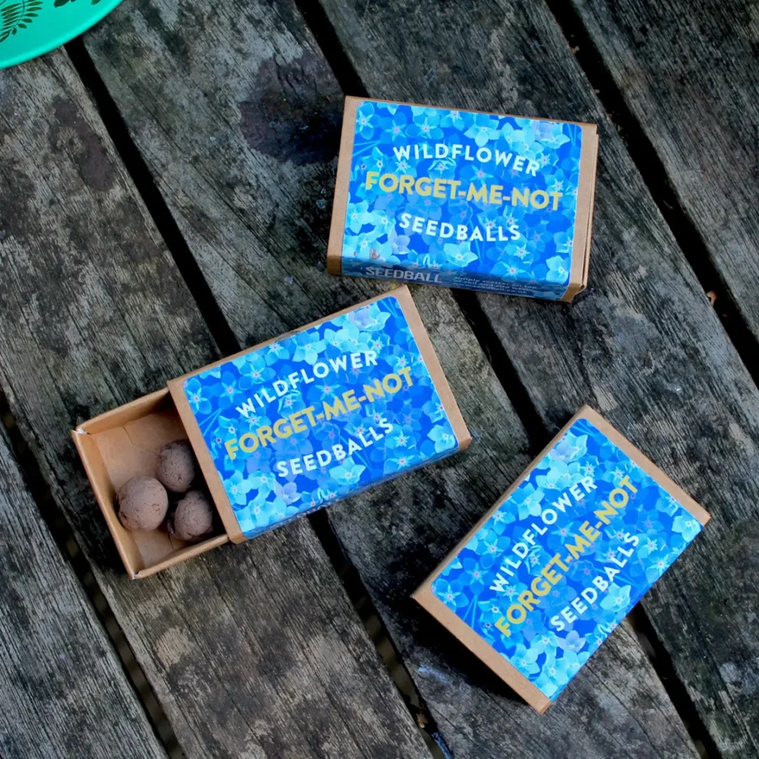 Forget-Me-Not Wildflower Pocket Boxes by Seedball 1