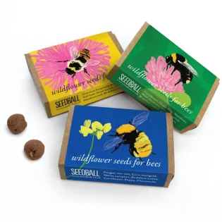 Bumblebee Pocket Boxes by Seedball Available at Tiezori