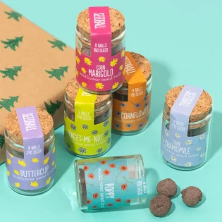 Seedball Set of 6 Wildflower Jars Collection