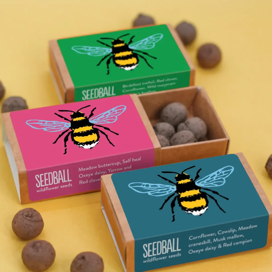 Bee Pocket Boxes Mix by Seedball available at Tiezori