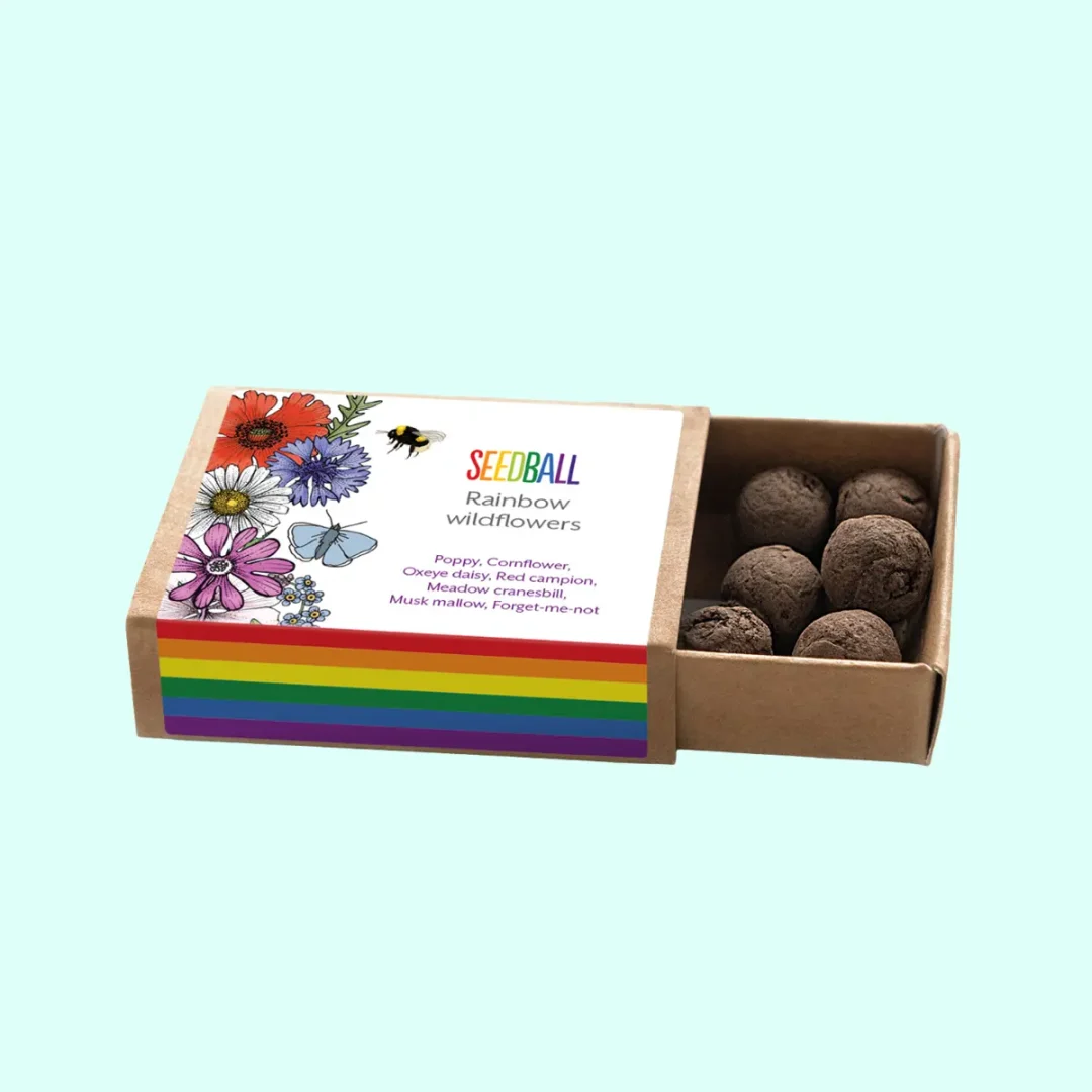 Pride Rainbow Wildflowers Seeds by Seedball available at Tiezori 2