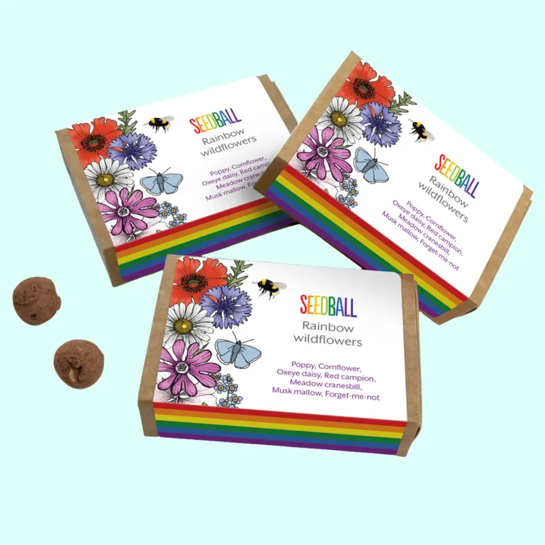 Pride Rainbow Wildflowers Seeds by Seedball available at Tiezori Collection