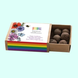 Pride Rainbow Wildflowers Seeds by Seedball available at Tiezori 1