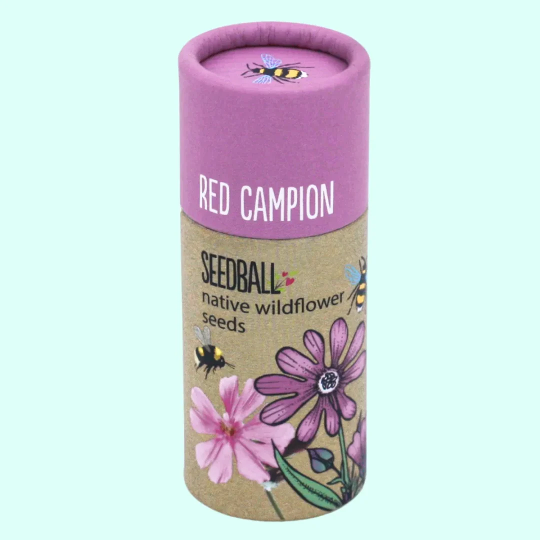 Red Campion Seed Tubes by Seedball available at Tiezori